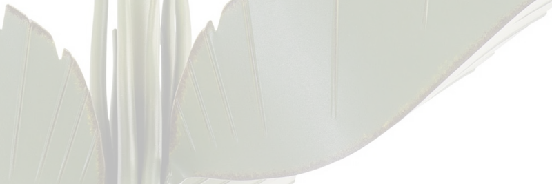 Explore Semi-Flush Mounts