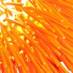 Urchin 1 Light Uber Mini Pendant - Electric Pumpkin