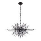 Orbital 16 Light Oval Linear Pendant - Carbon