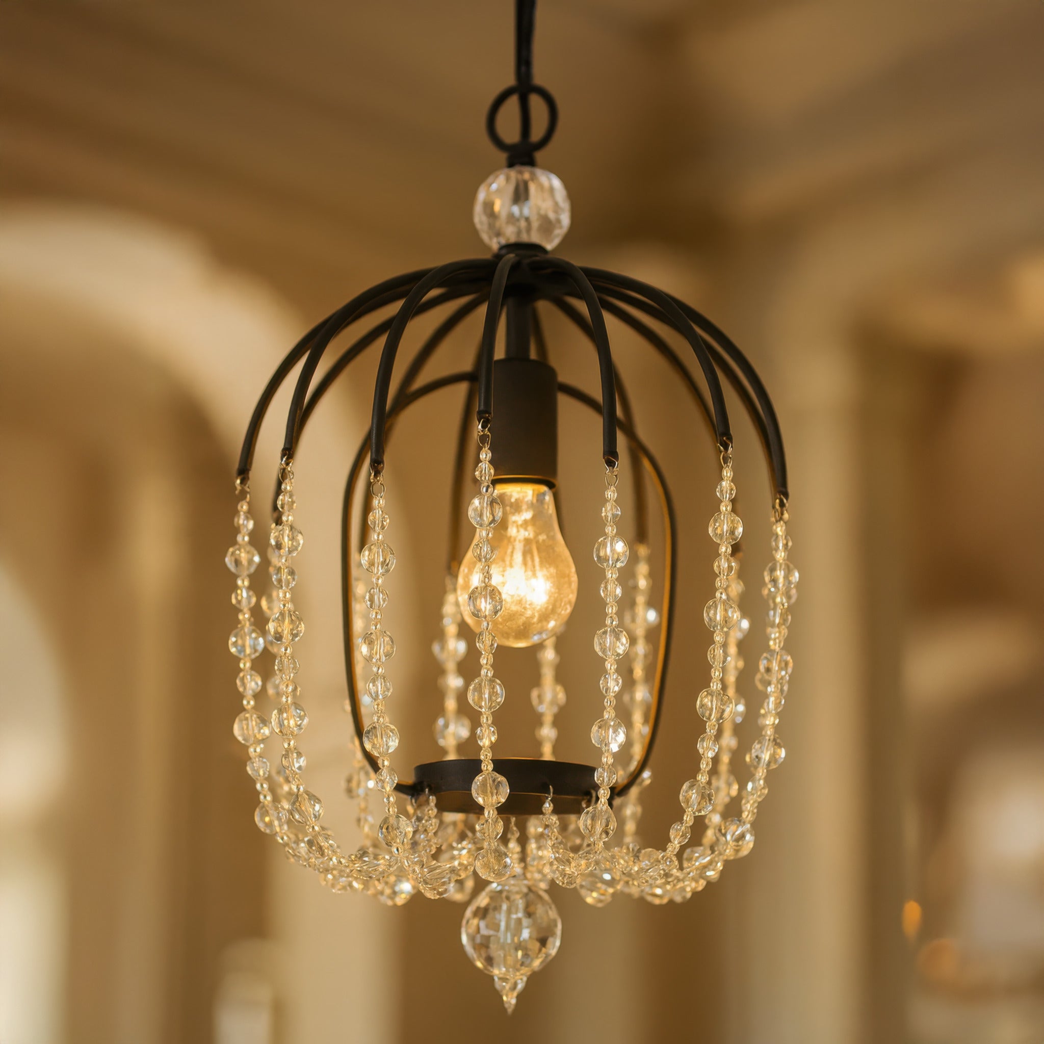 Voliere 1 Light Crystal Pendant - Matte Black