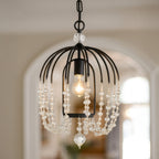 Voliere 1 Light Crystal Pendant - Matte Black