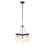 Allie 3 Light Chandelier - Black/Satin Brass