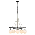 Allie 5 Light Chandelier - Black/Polished Nickel