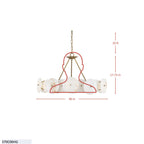 Cosmos 6 Light Chandelier - Havana Gold