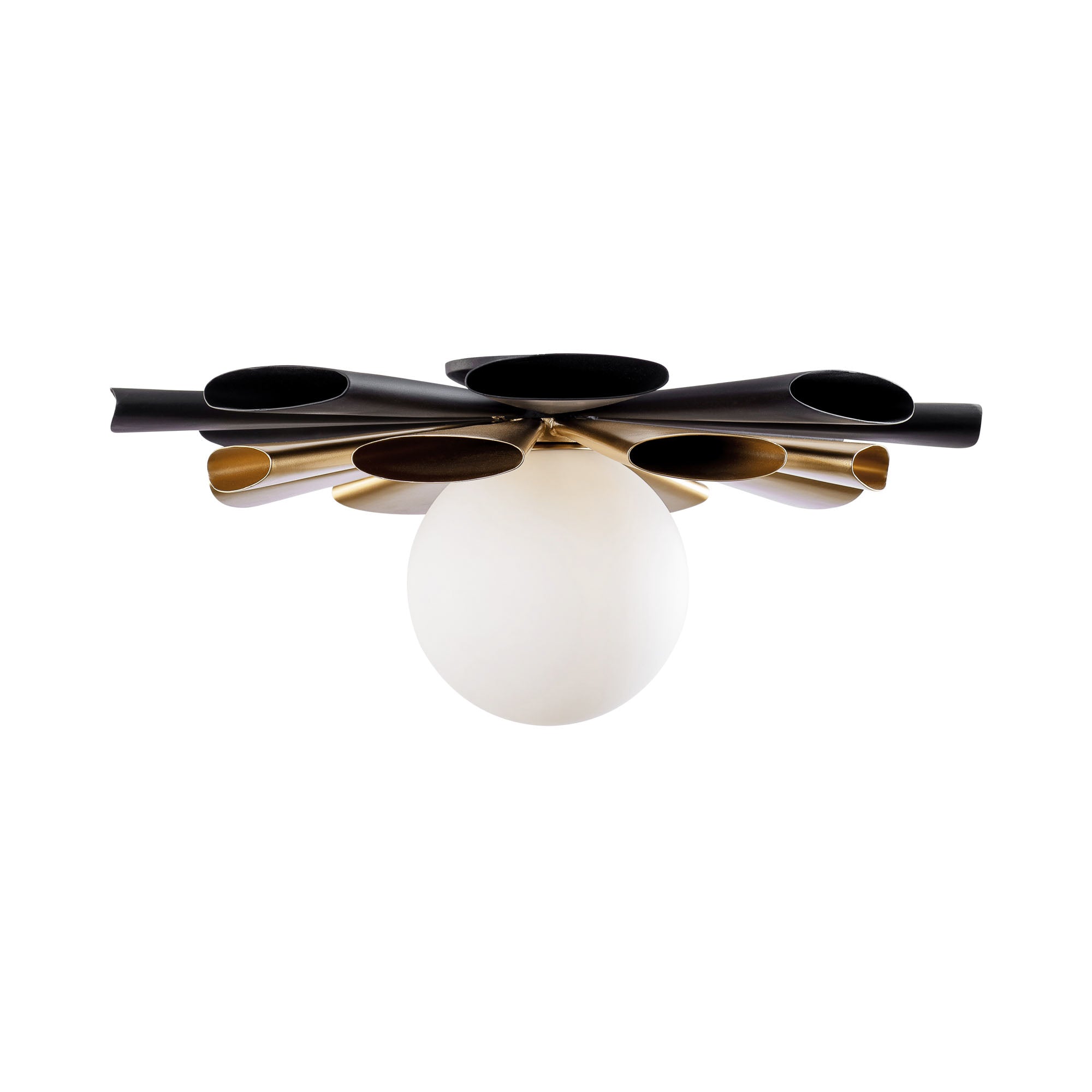 Daphne 1 Light Large Convertible Flush Mount/Sconce - Matte Black/French Gold