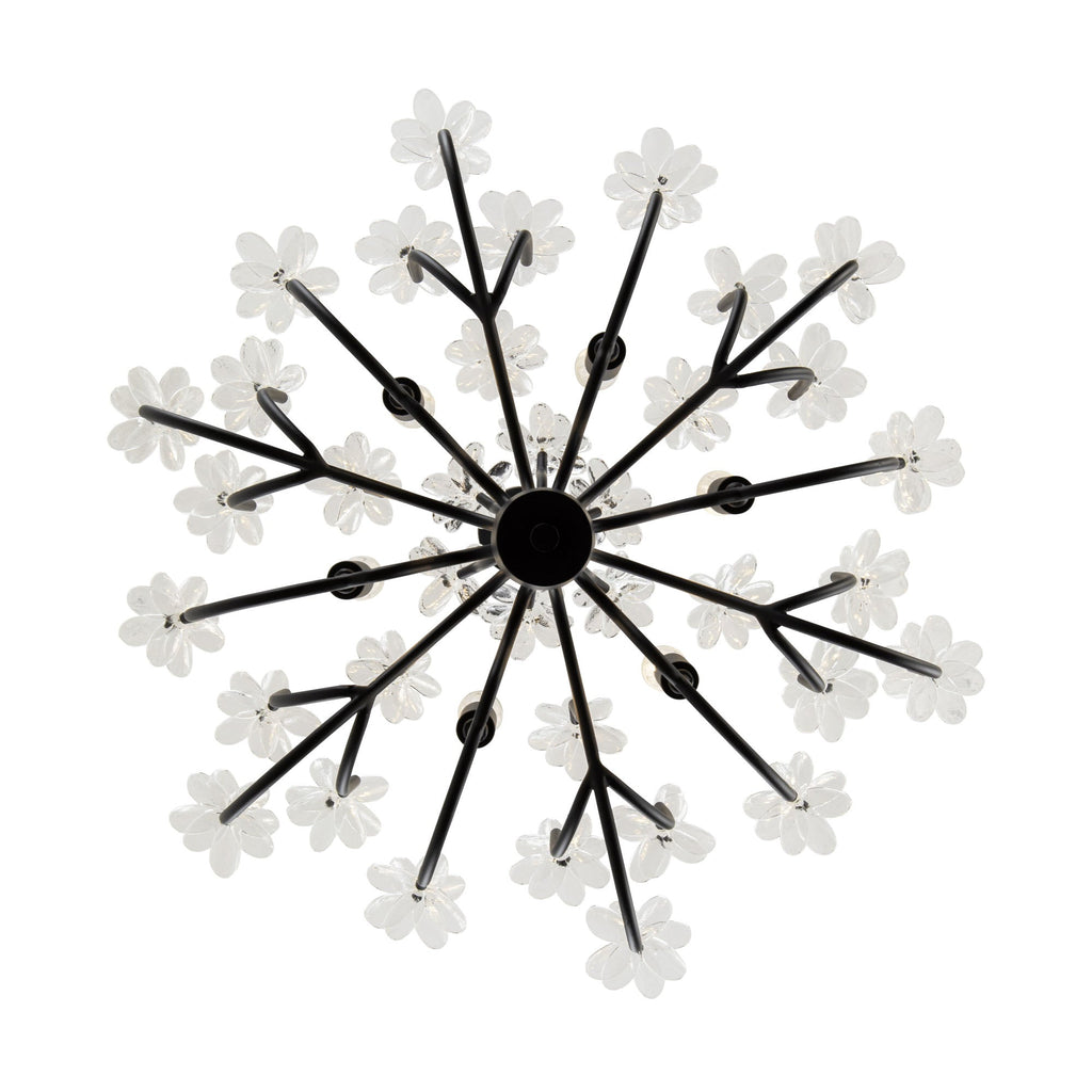 Wildflower 6 Light Chandelier - Matte Black