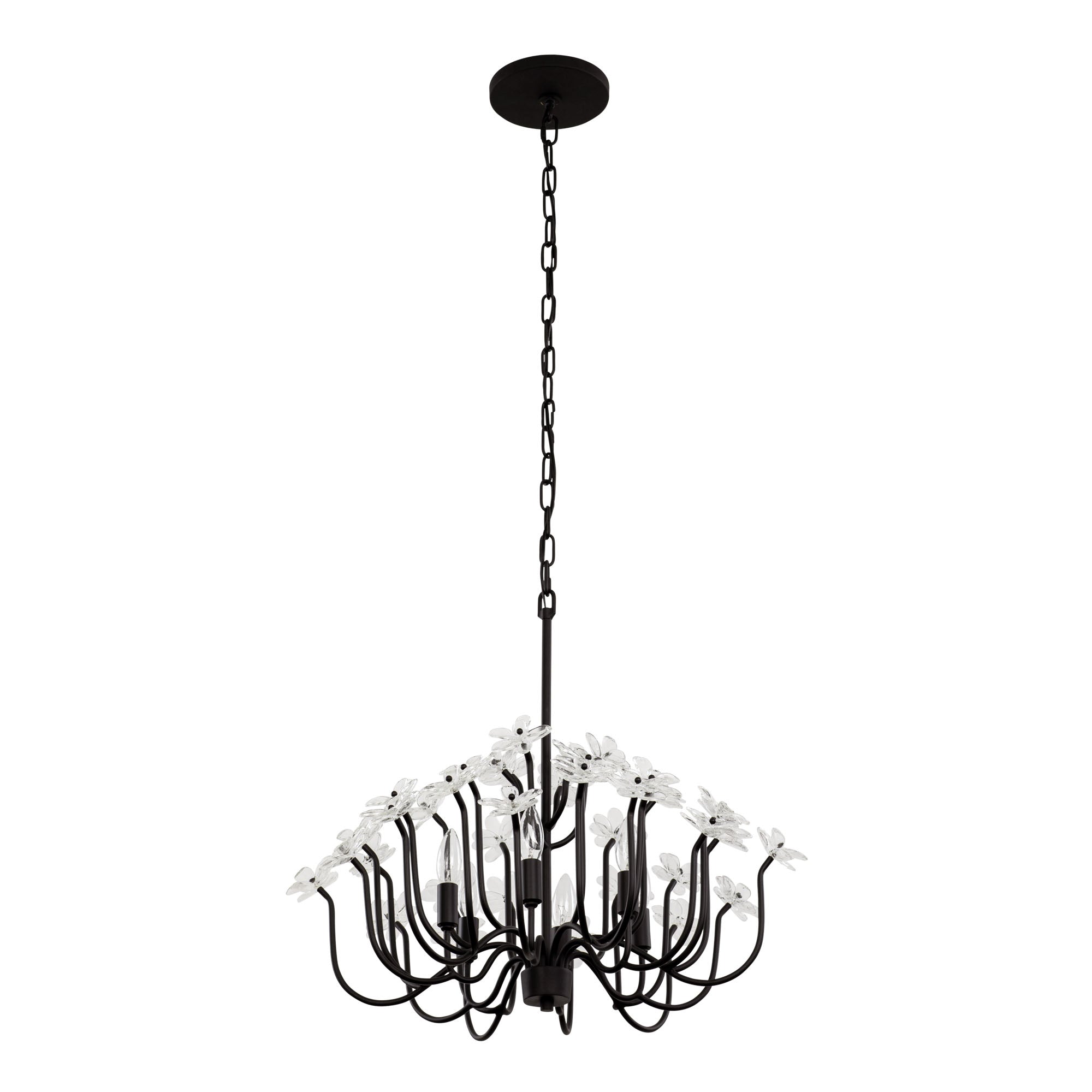 Wildflower 6 Light Chandelier - Matte Black