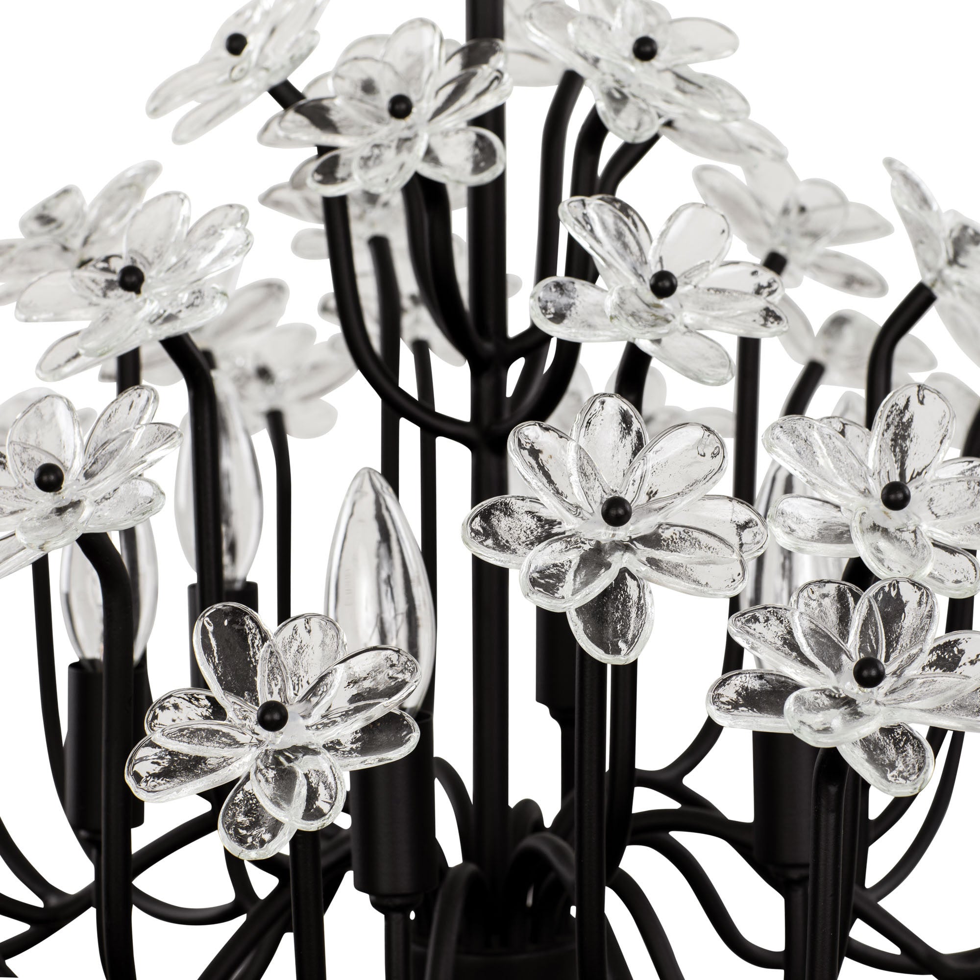 Wildflower 6 Light Chandelier - Matte Black