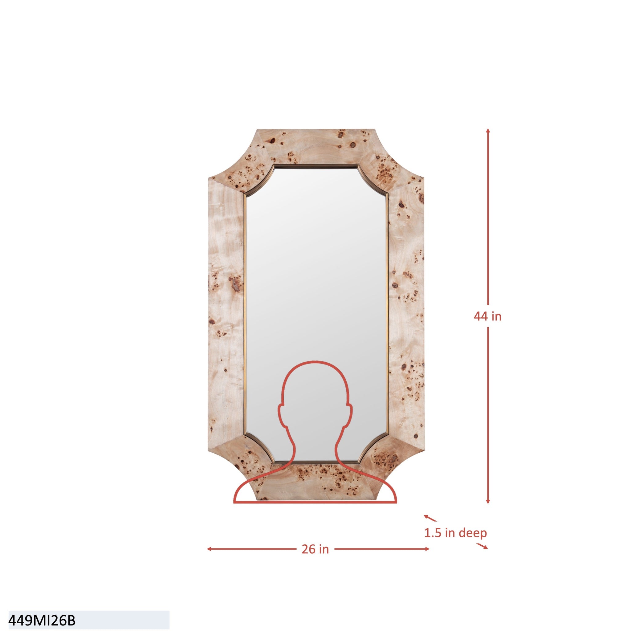 Farra 26x44 Wall Mirror - Cerused Black/Weathered Brass