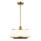 Desert Flyer 3 Light Convertible Pendant/Semi-Flush - Satin Brass/Medium Walnut