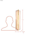 Mingle 1 Light Tall Sconce - Satin Brass