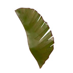 Banana Leaf 2 Light Sconce