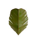 Banana Leaf 2 Light Sconce
