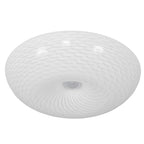 Swirled 2 Light Medium Flush Mount - French Feather